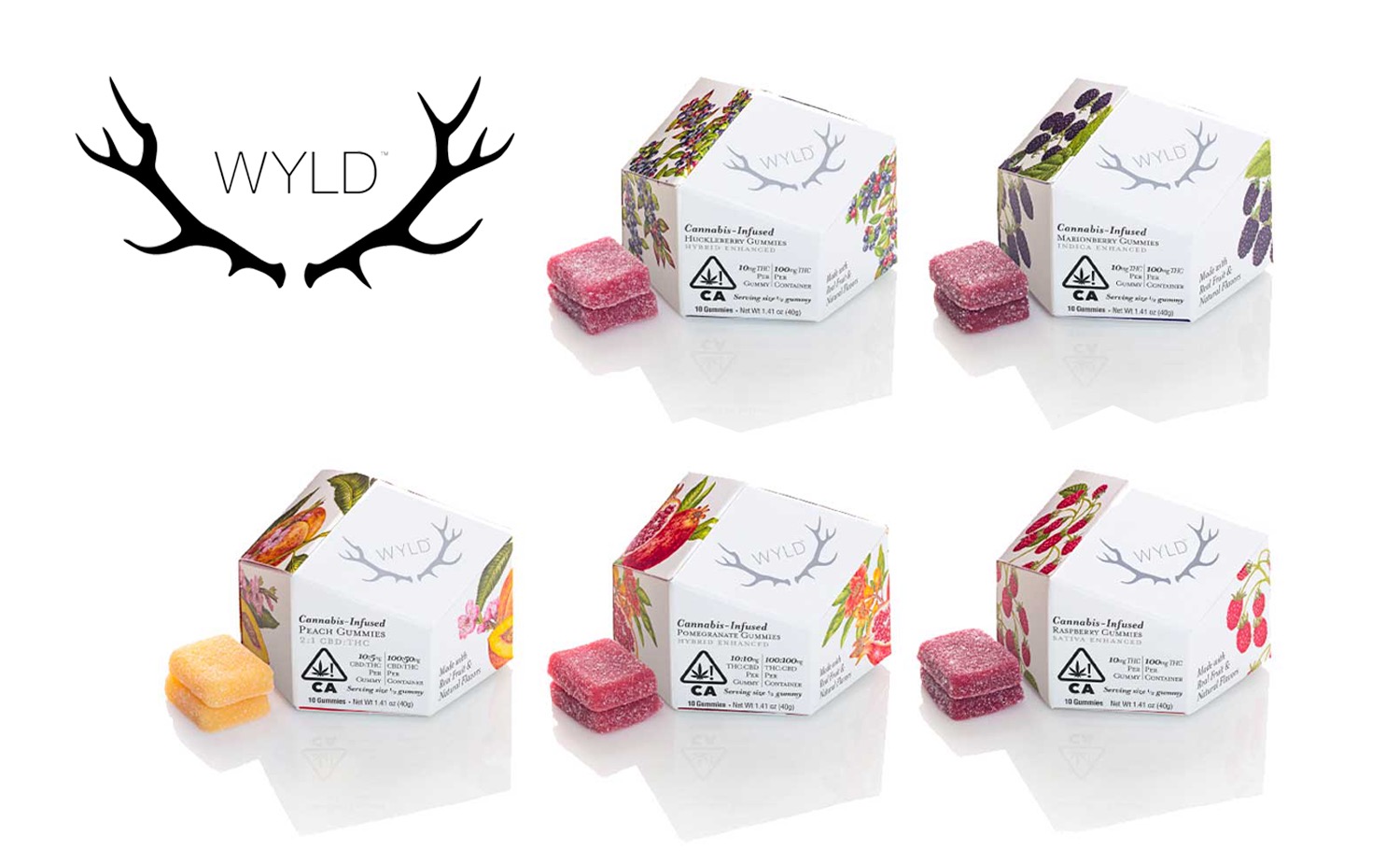 Wyld Brand Carousel Graphics